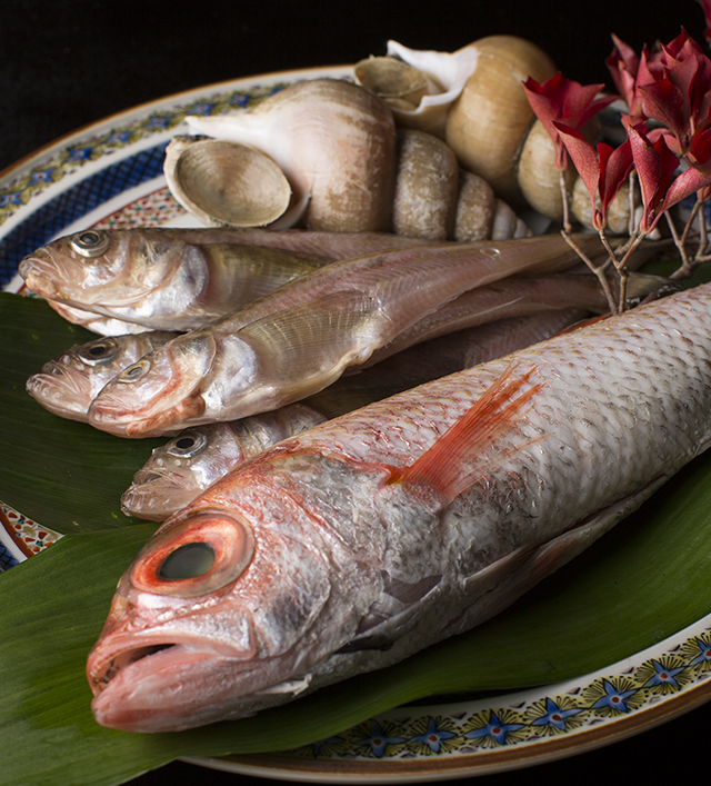 のど黒や魚介類、地物の素材